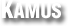 Kamus